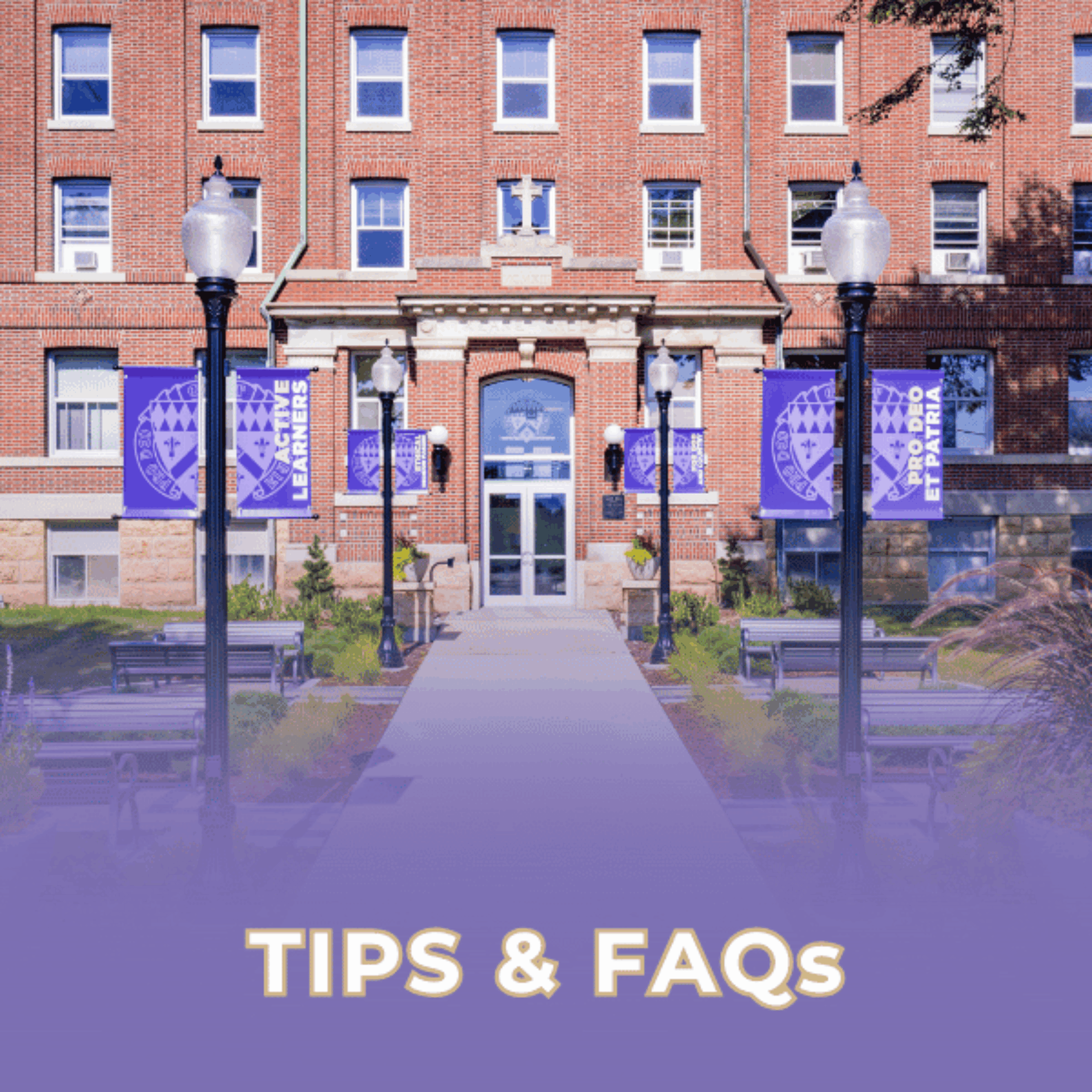 sidewalk leading into building with purple flags and FAQs